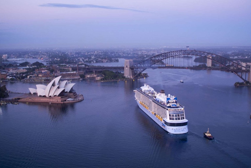 An ocean liner in Sydney harbour
