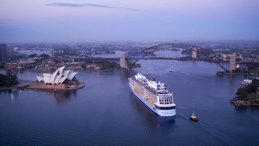 An ocean liner in Sydney harbour