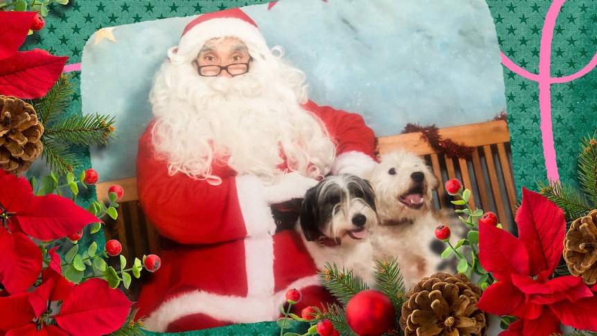 Dog sitting on Santas lap with a festive photo frame