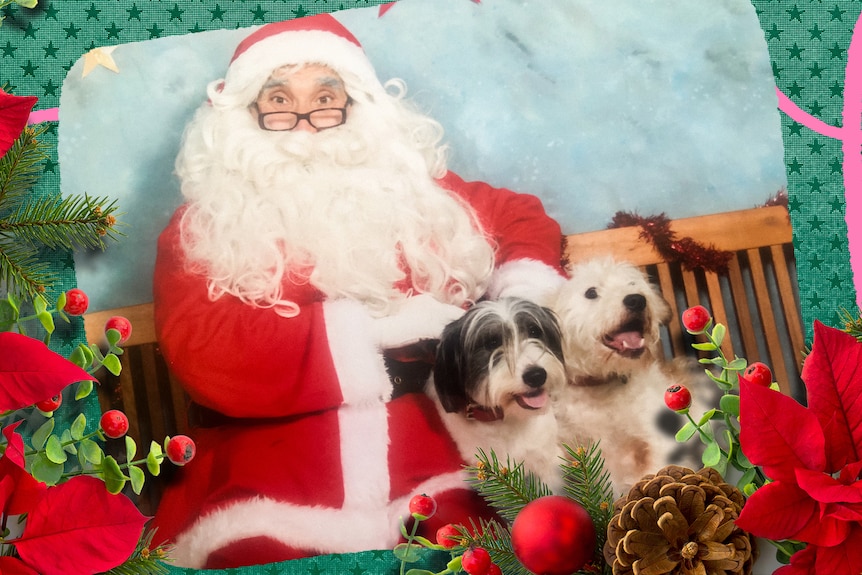 Dog sitting on Santas lap with a festive photo frame