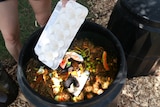 Organic waste in a bin