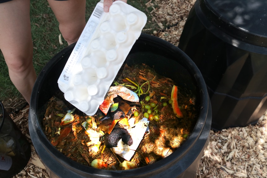 Organic waste in a bin