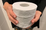 a roll of toilet paper being held close to the camera