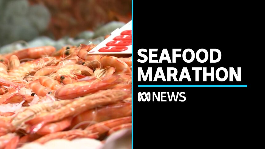 Sydney Fish Market begins 36-hour seafood marathon for Christmas - ABC News