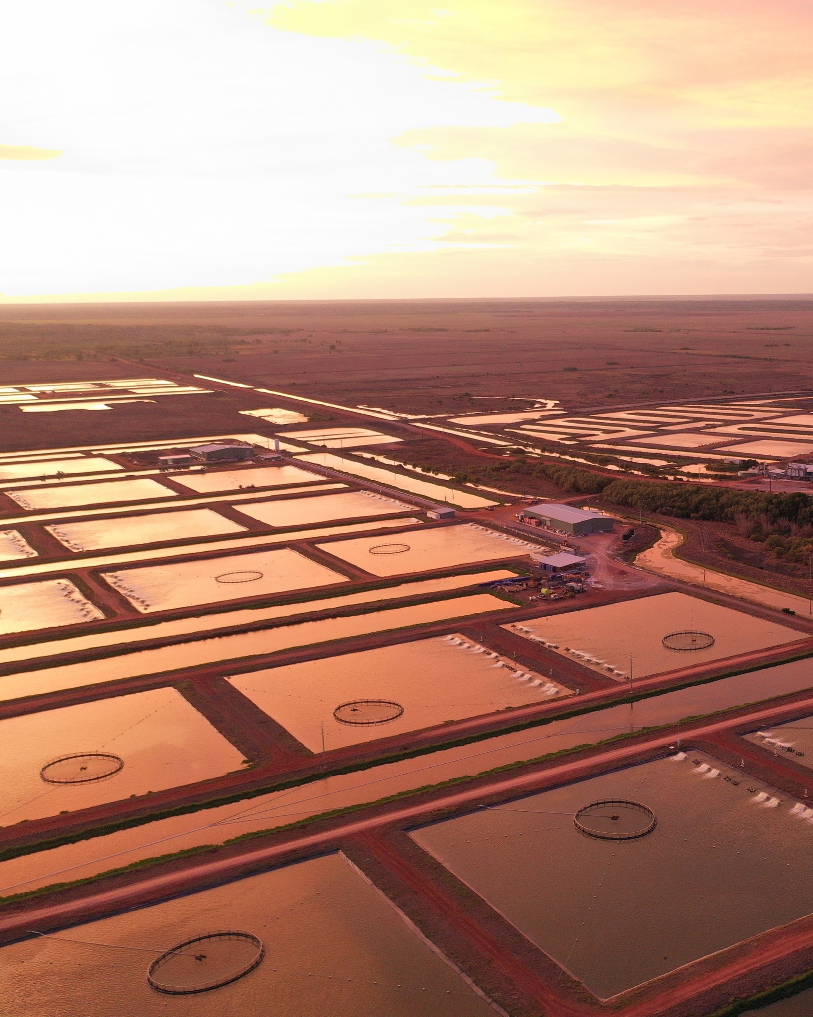 Aerial stare of the cages now being susceptible by Humpty Doo Barramundi.
