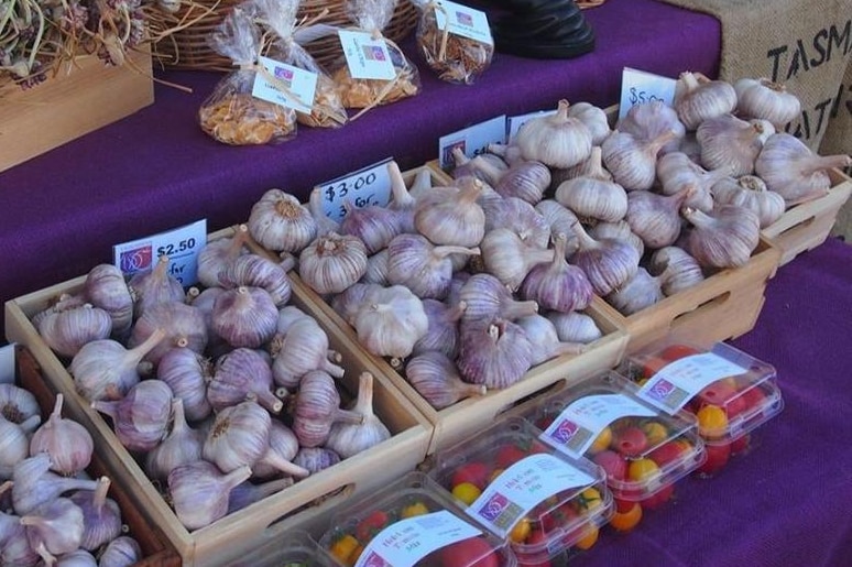 Produce on show at the Tasmanian Tomato and Garlic Show.