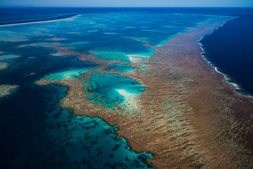 The Great Barrier Reef shot from a plane off the north Queensland coast.