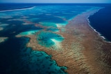The Great Barrier Reef shot from a plane off the north Queensland coast.