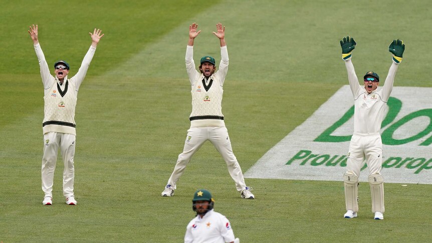 Australia fielders Steve Smith, Joe Burns and Tim Paine throw their hands up as they appeal.