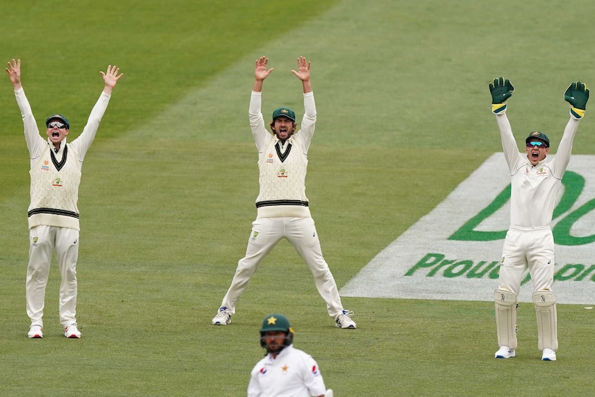 Australia fielders Steve Smith, Joe Burns and Tim Paine throw their hands up as they appeal.