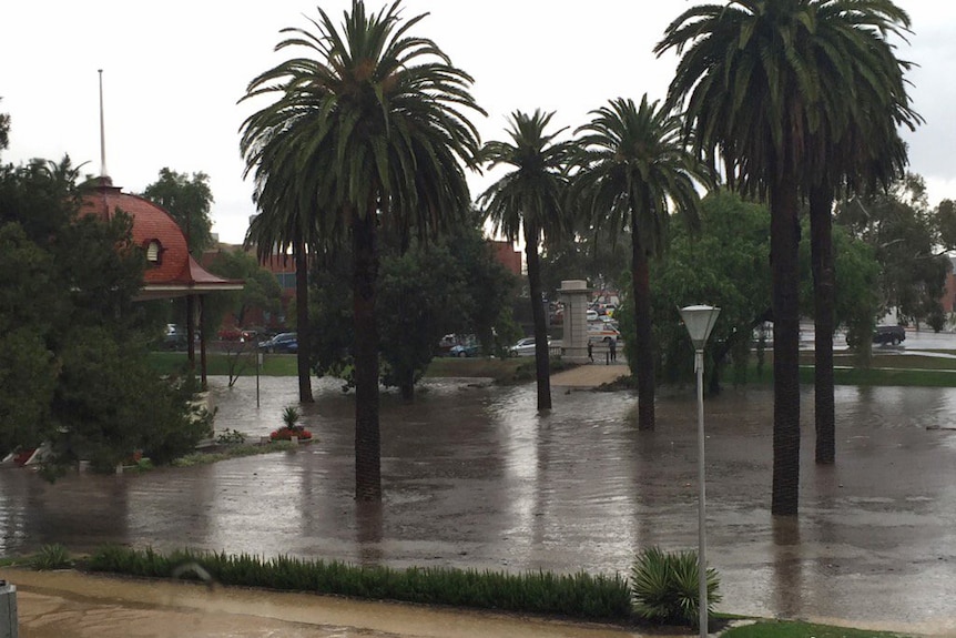 Johnston Park, in Geelong, after the city received 24mm of rain in 20 minutes.