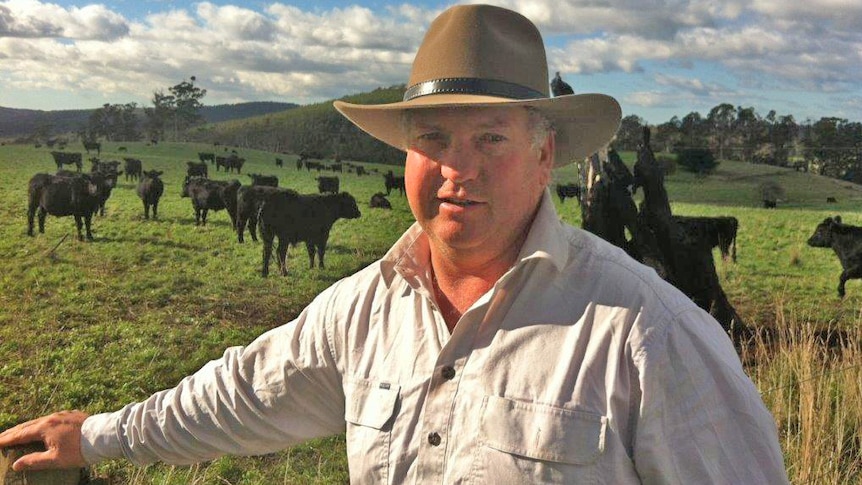 Bradfield's runs a beef business in Tasmania's north-east.