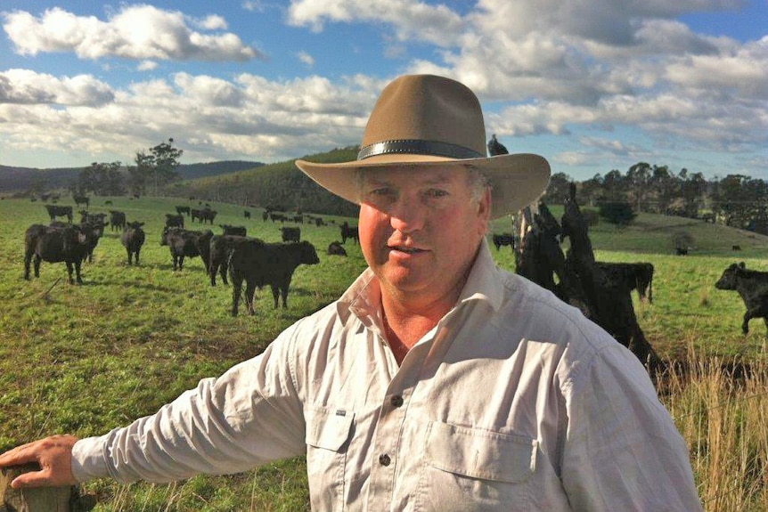 Greg Bradfield manages Musselroe Beef in Tasmania