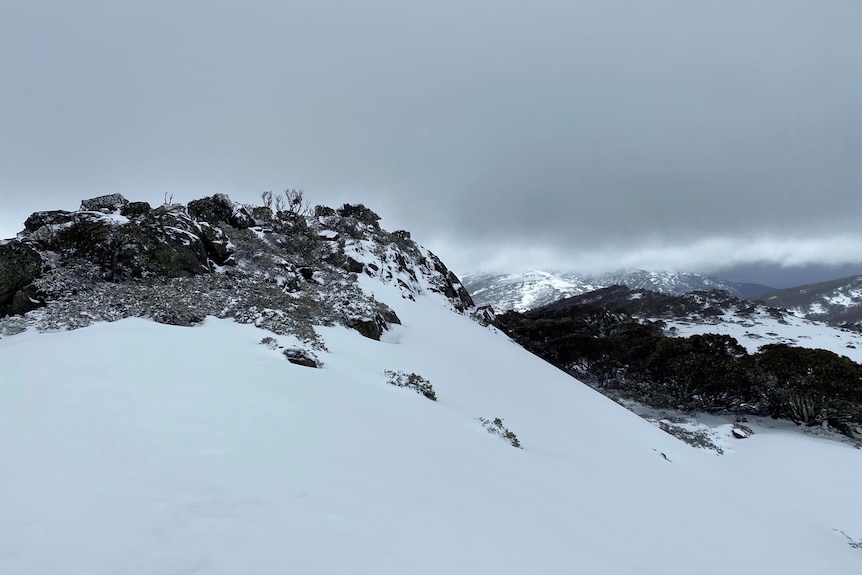 A snow-covered mountain beneath a grey sky.