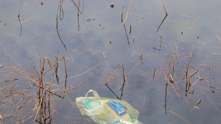 A major clean up planned for the Hunter region's waterways.