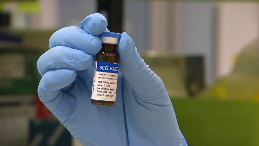 A person's hand with a blue glove on holding a brown bottle of BCG vaccine