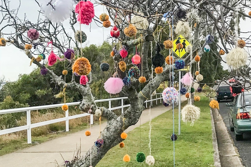 A tree with pom poms hanging from it.