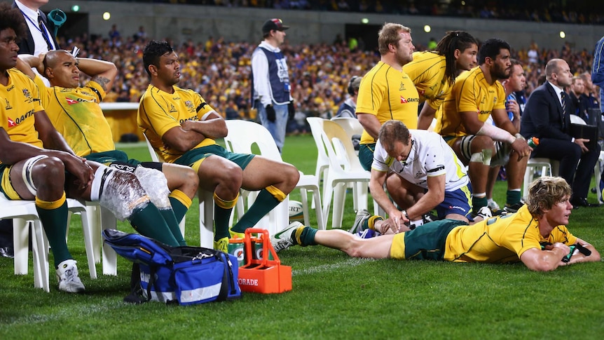 Wallabies watch on from bench