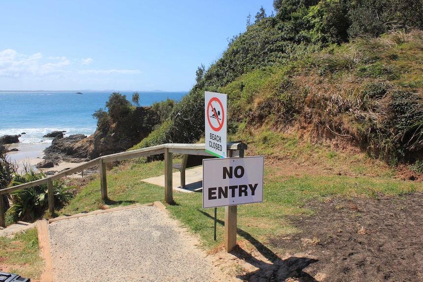 Beaches closed in Port Macquarie after shark sightings