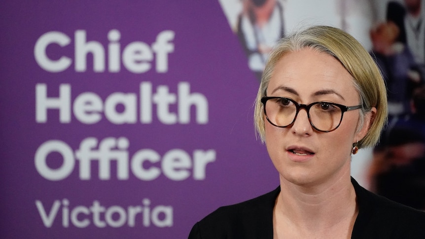 Annaliese van Diemen stands at a lectern during a press conference.