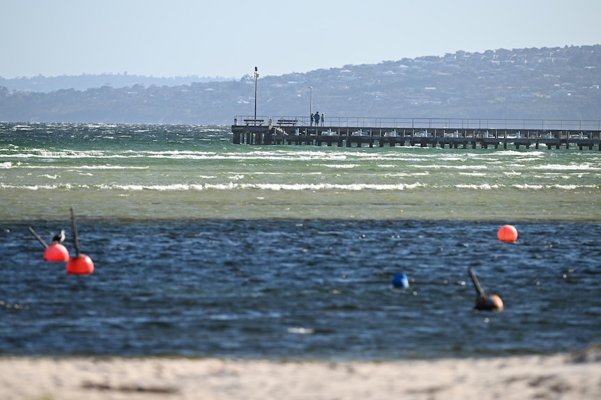 Waters off the beach at Rosebud.