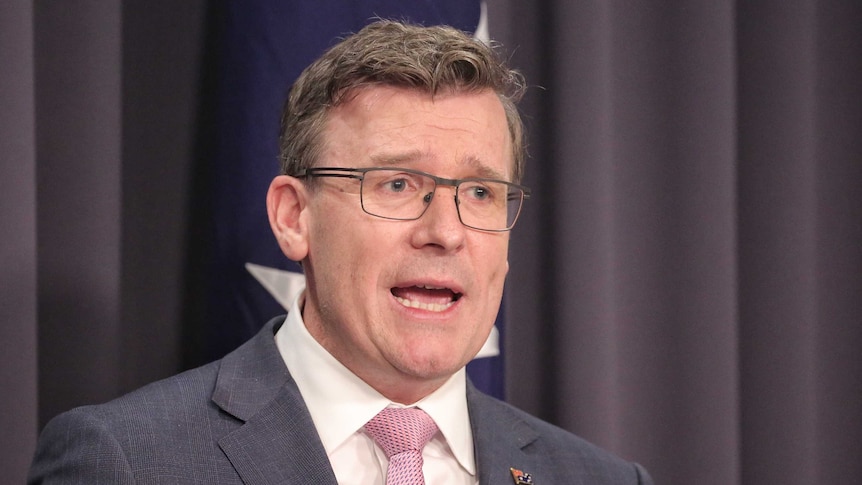 Mr Tudge is mid sentence, standing in front of an Australian flag. He's wearing a pink tie.