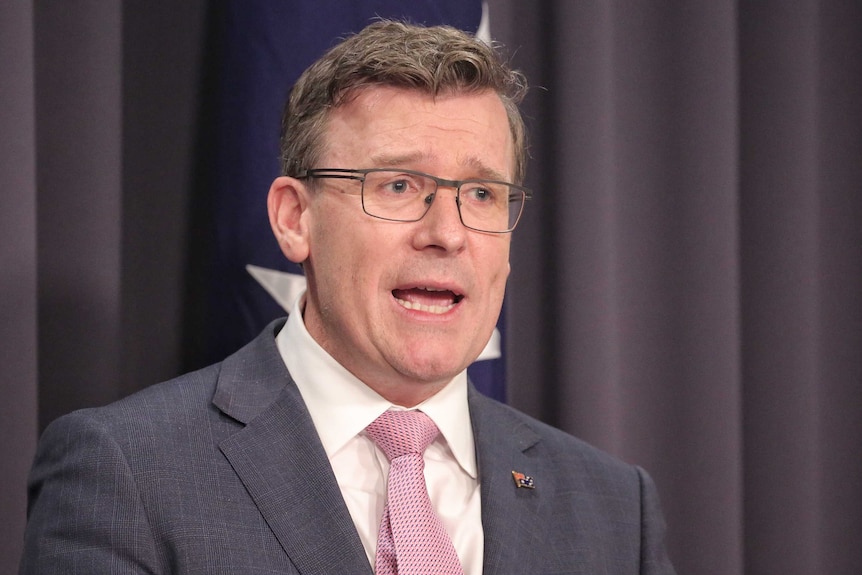 Mr Tudge is mid sentence, standing in front of an Australian flag. He's wearing a pink tie.