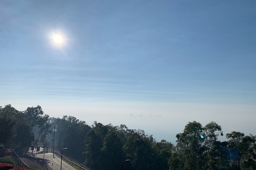 Smoky Brisbane from Mount Coot-Tha, trees in the foreground, band of smoke and blue sky. Tops of city buildings in smoke