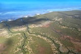 An aerial photograph of mangroves and saltmarsh with tributaries leading to the ocean.