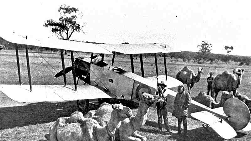 A black and white image of a bi-wing plane with camels surrounding it and two men beside the tail