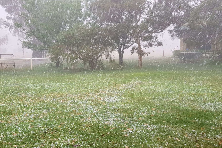 Hail and heavy rain in storm at Albeni, halfway between Springsure and Tambo.