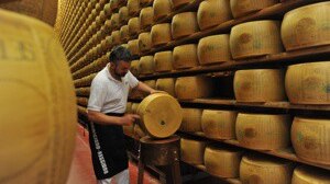 A man inspects a wheel of Parmigiano Reggiano