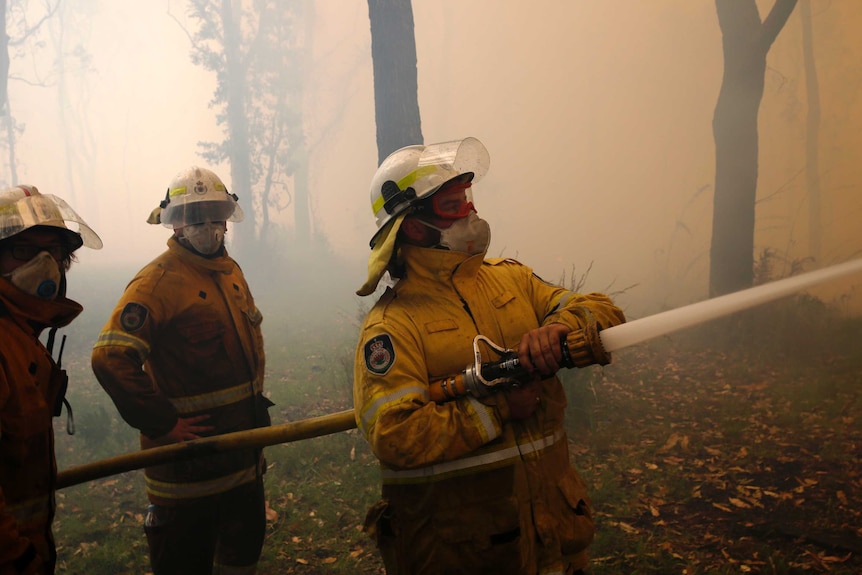 three firefighters battle a blaze with trees in smoke in background