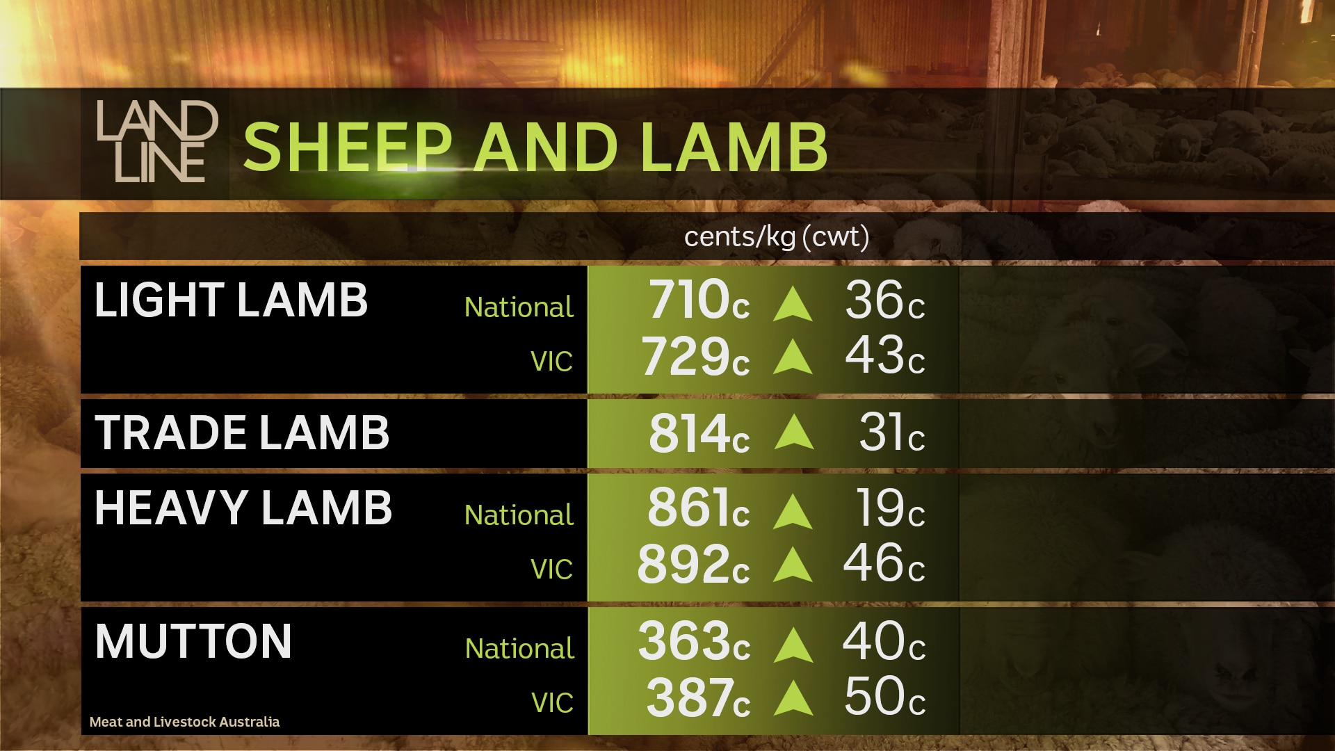 Landline graph showing sheep and lamb prices