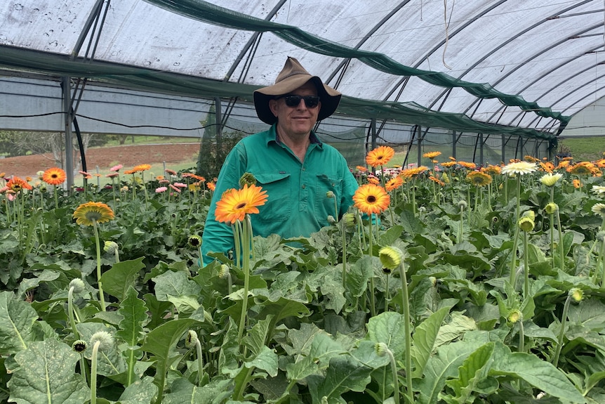 farmer in black sunglasses wearing old hat surrounded by blooming yellow and white flowers