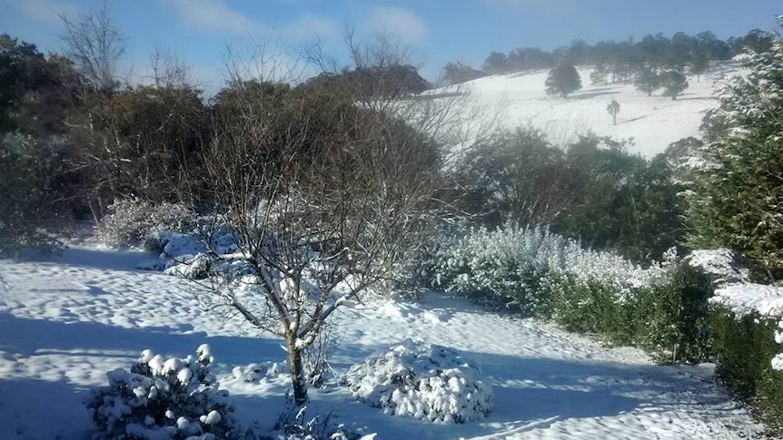 Snow in Oberon, NSW