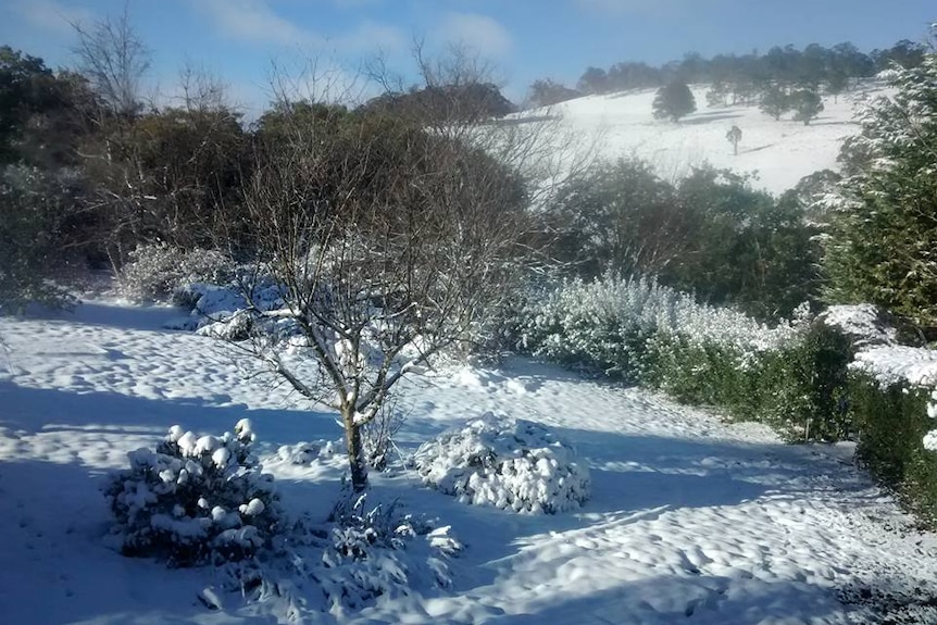 Snow in Oberon, NSW