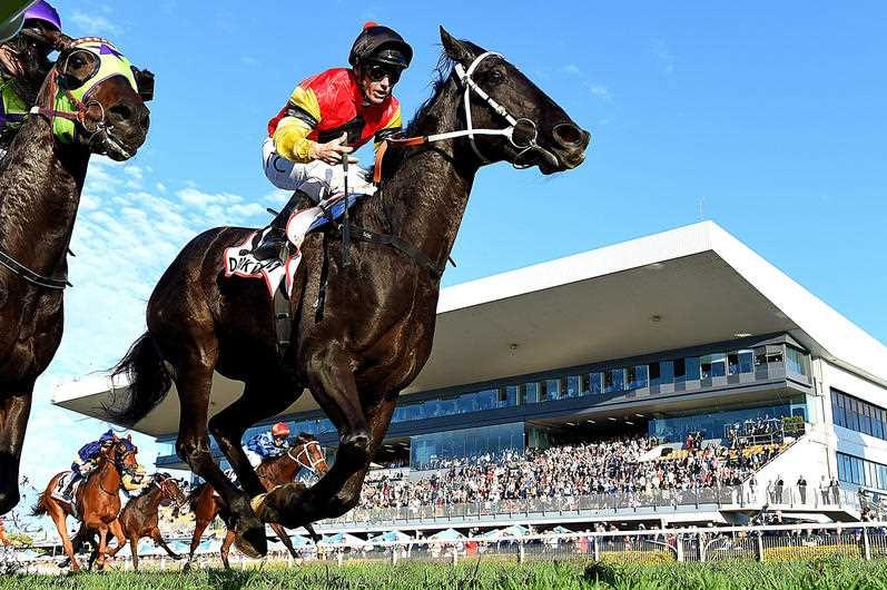 A jockey rides a racehorse with a pavilion full of spectators in the background.