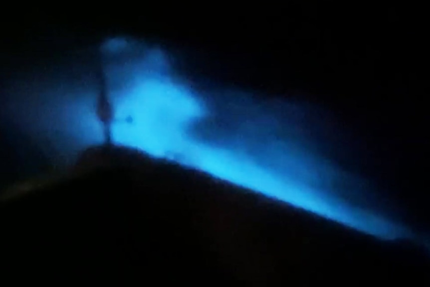 Neon blue bioluminescence in wake of boat in waters of Moreton Bay, near Brisbane.