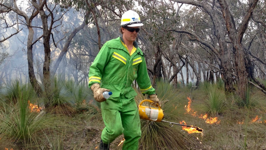 A man in a green fire suit and white helmet sets dry grass alight in the bush.