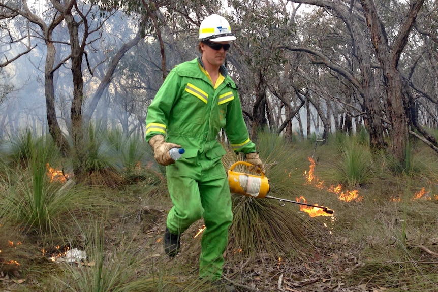 Planned burn near Anglesea, Victoria