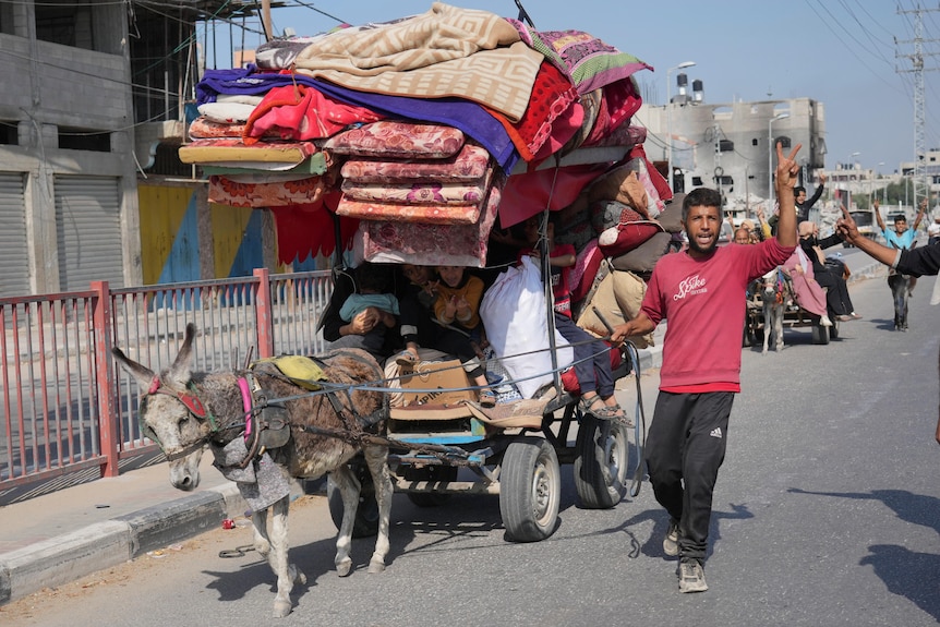 Man walks next to a donkey cart carring his family and piled with mattresses. 