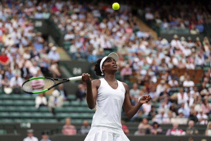 Venus Williams eyes the ball at Wimbledon