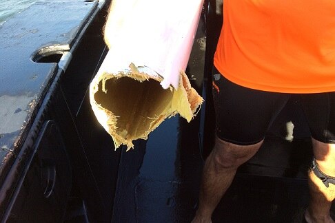 A kayak bitten by a shark in Moreton Bay