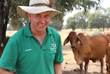 Man in green shirt smiles at camera with cattle in the background.