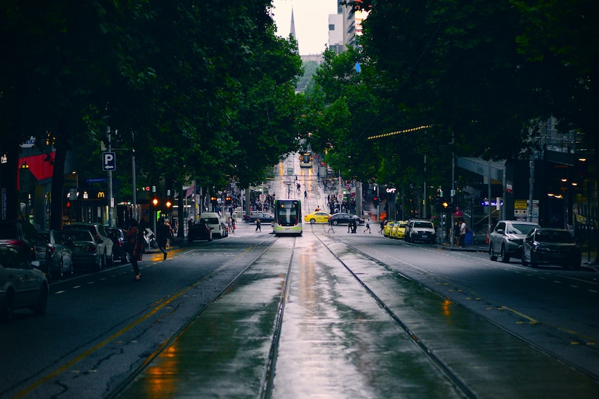 A generic photo of a tram in Melbourne on a rainy day