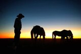 Silhouette of grazier PJ Elliott with his horses at sunset, north of Winton, in western Queensland.