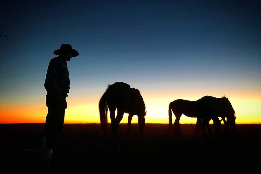 Silhouette of a grazier with his horses at sunset, north of Winton, in western Queensland.