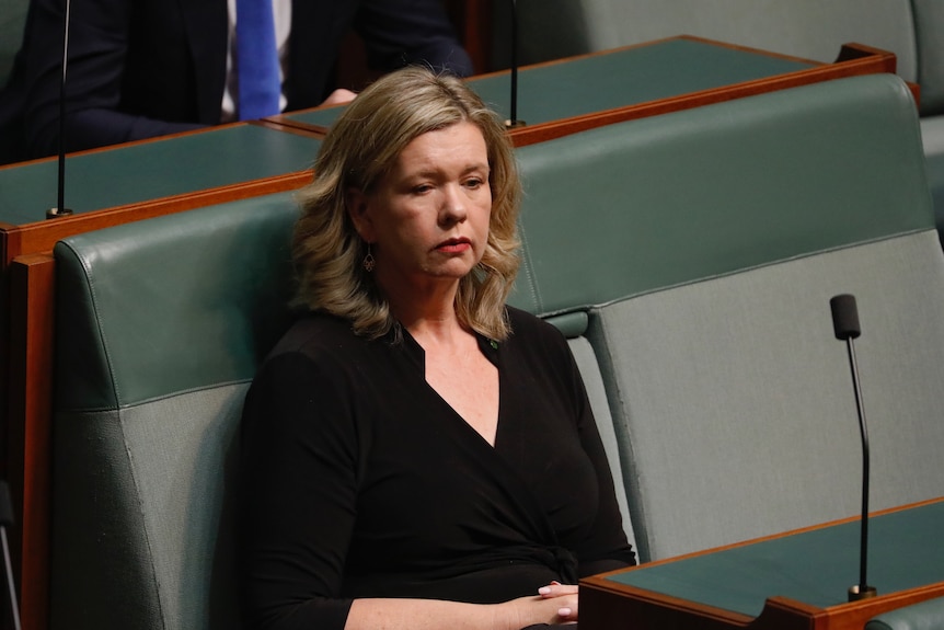 Bridget Archer in the House of Representatives during a debate to censure Scott Morrison 