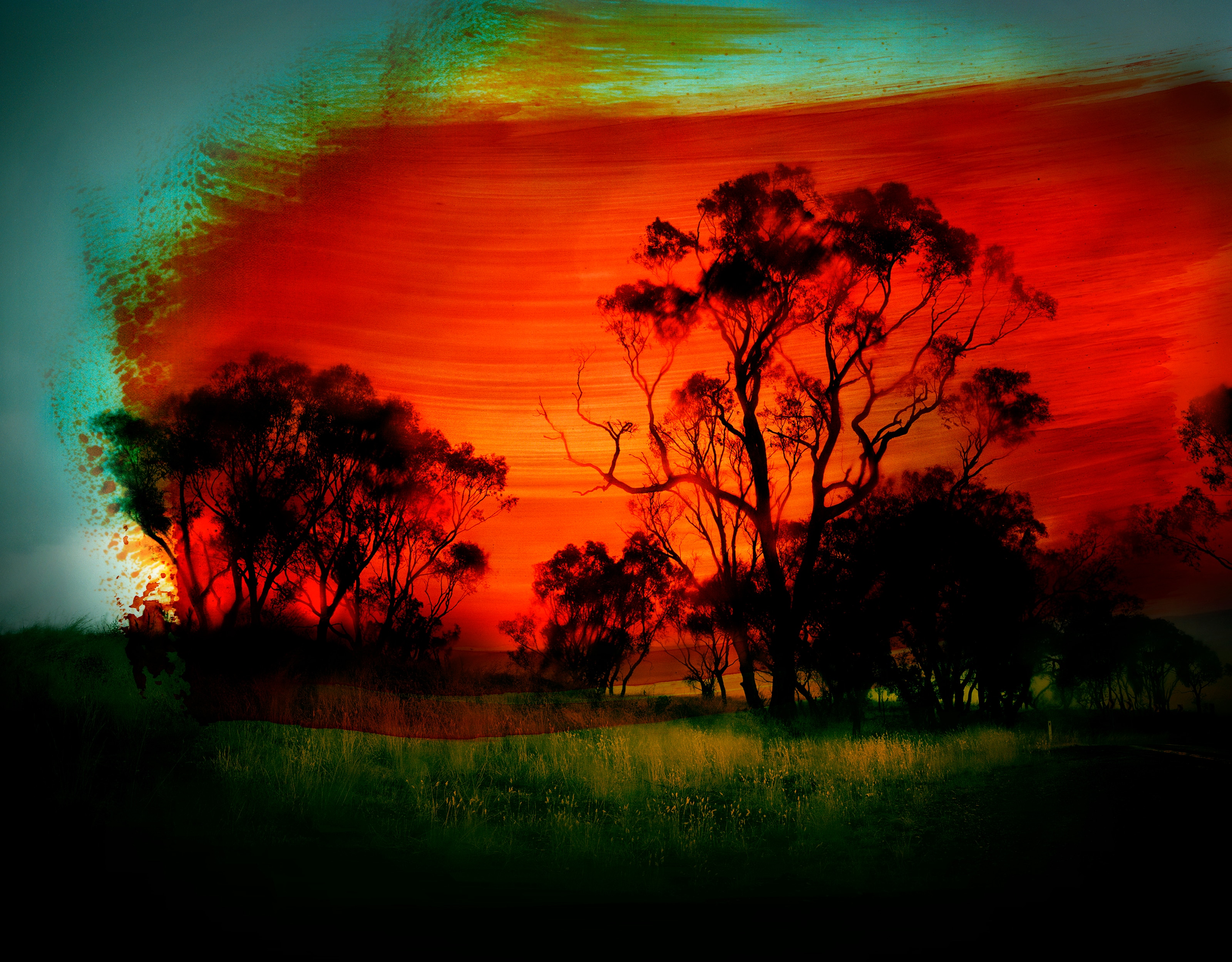 Trees silloutted against a green background with a red breaststroke across it. 